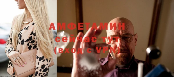 сатива Иннополис