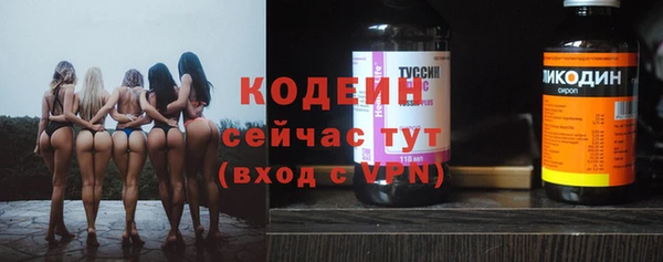 сатива Иннополис
