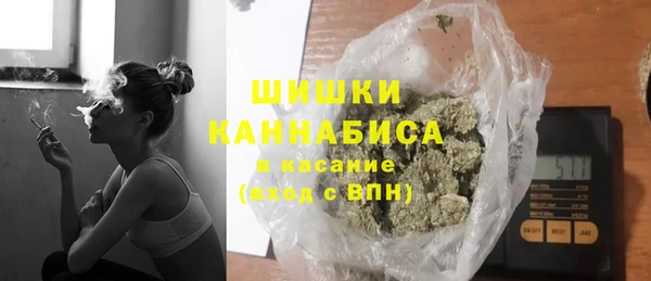 сатива Иннополис