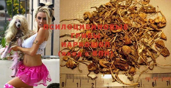 дмт Инсар