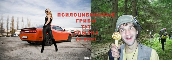 дмт Инсар