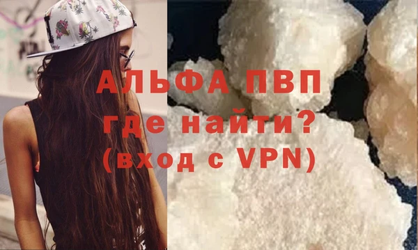 сатива Иннополис