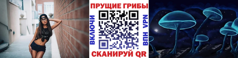 Галлюциногенные грибы мицелий МЕГА Псков