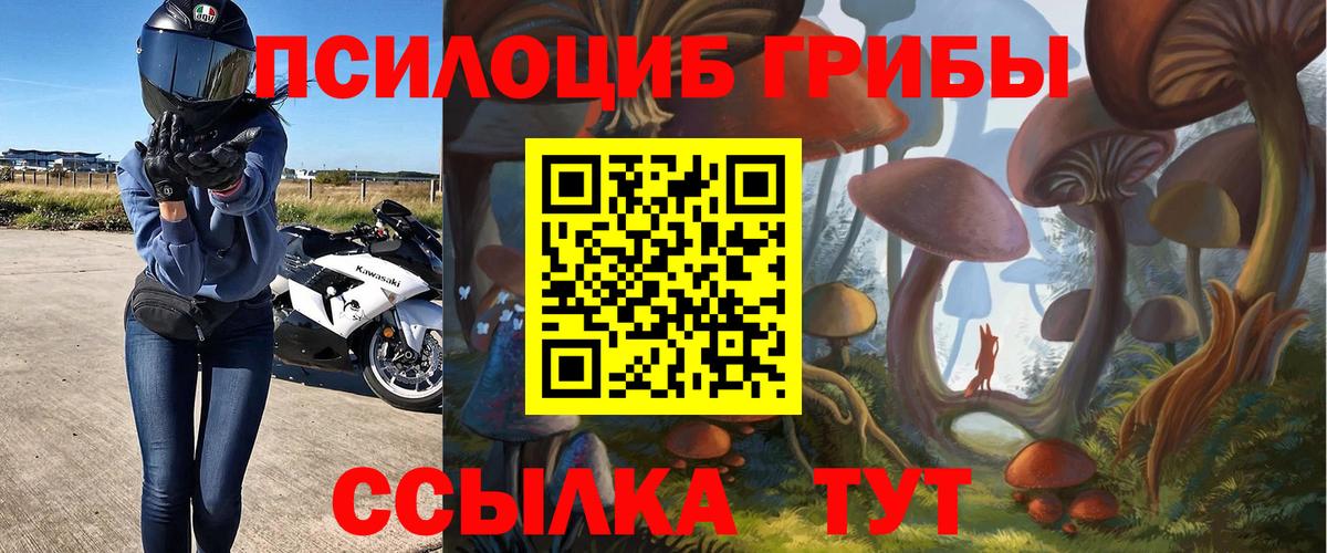 Псилоцибиновые грибы Magic Shrooms  Псилоцибиновые грибы Cubensis  Псков  продажа наркотиков  Вход с VPN 