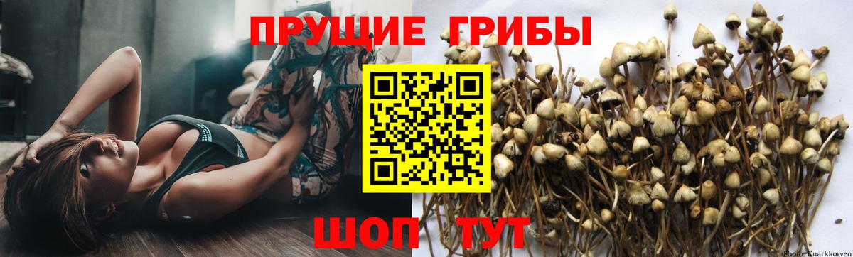 Меф кристаллы  Гашиш  ГАШ  Кокаин  Псков  Вход с VPN 